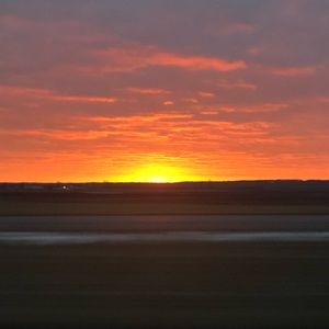 Meet your Posher, Mckinley